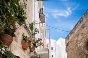 Alberobello, Monopoli Polignano Small Group Guided Tour from Bari - Price and value: what $216.48 buys you (and what it doesn’t)