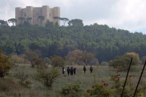 Castel del Monte: excursion in the Alta Murgia National Park - Arrival at Castel del Monte: 540 meters of Murge air and wide views