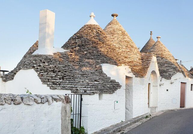 Full-day tour Alberobello & Locorotondo & Polignano a Mare & Bari - Key highlights to know before you go