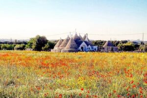 Puglia Full-Day Tour: Bari, Trulli of Alberobello, Castel del Monte and Sassi of Matera - Getting where you need to go: pickup, group size, and long-day realities