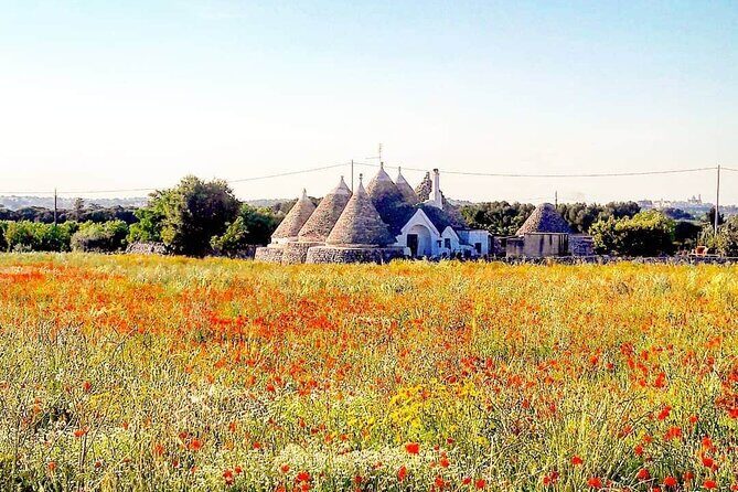 Puglia Full-Day Tour: Bari, Trulli of Alberobello, Castel del Monte and Sassi of Matera - Getting where you need to go: pickup, group size, and long-day realities