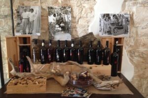 Trani: Wine tasting & Light Lunch in a Vineyard - The cellar tour: vineyards, production areas, and real conversations